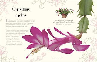 Sample content_An Anthology of Christmas