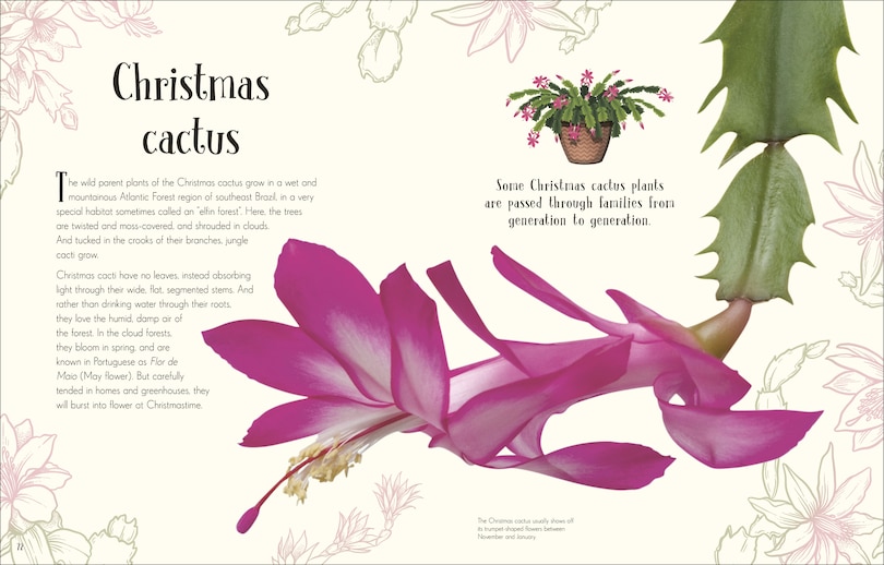 Sample content_An Anthology of Christmas