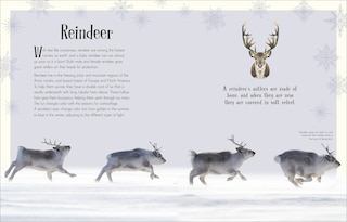 Sample content 4_An Anthology of Christmas