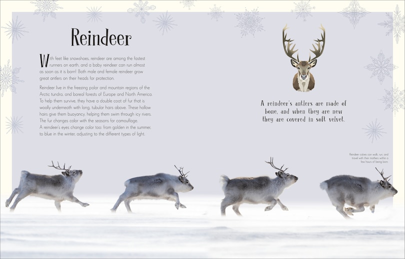 Sample content 4_An Anthology of Christmas