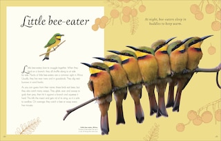 Sample content_An Anthology of Exquisite Birds