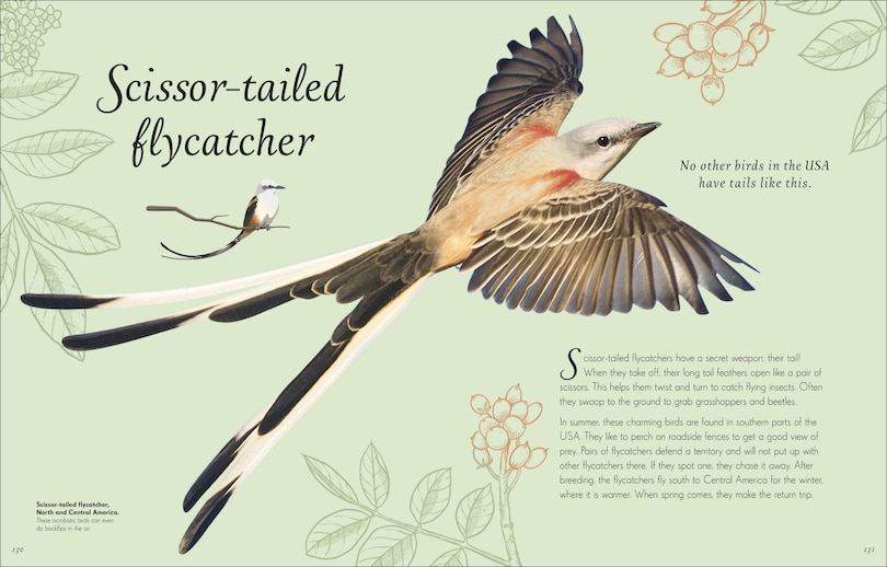 Sample content 2_An Anthology of Exquisite Birds
