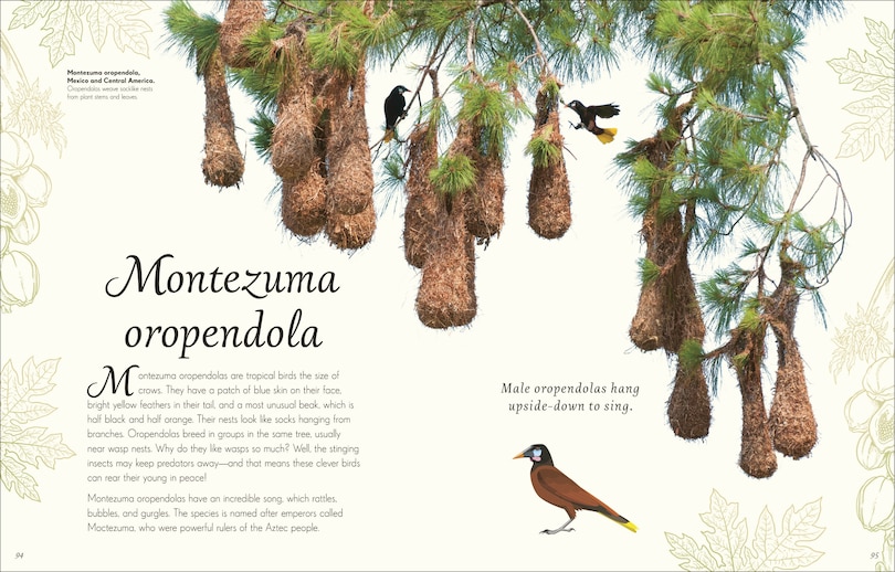 Sample content 3_An Anthology of Exquisite Birds