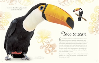 Sample content 4_An Anthology of Exquisite Birds