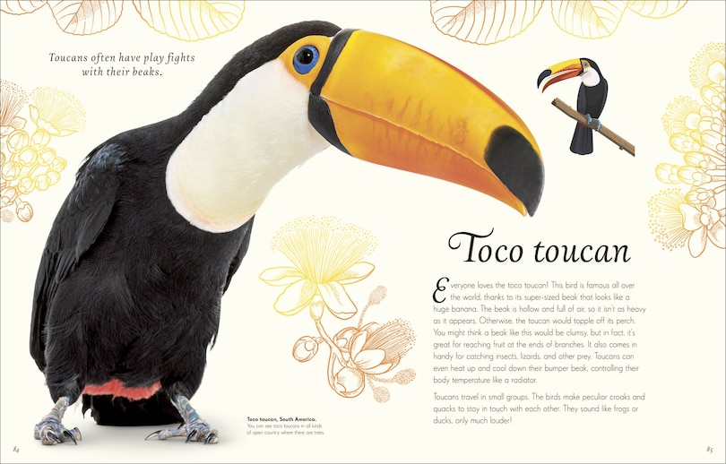 Sample content 4_An Anthology of Exquisite Birds