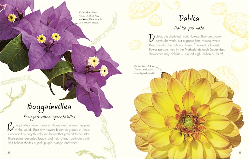 Sample content_An Anthology of Flowers