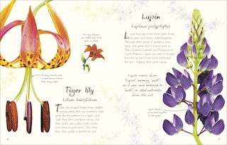 Sample content 2_An Anthology of Flowers