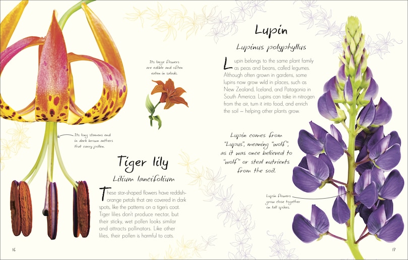 Sample content 2_An Anthology of Flowers