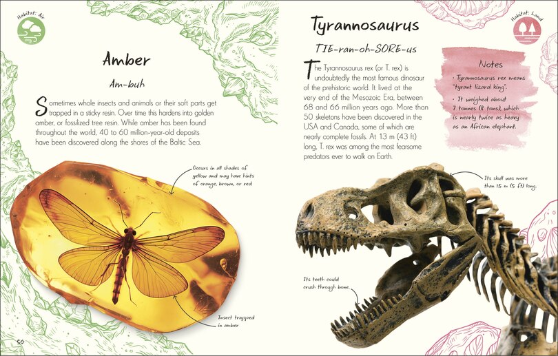 Aperçu du contenu 2_An Anthology of Fossils