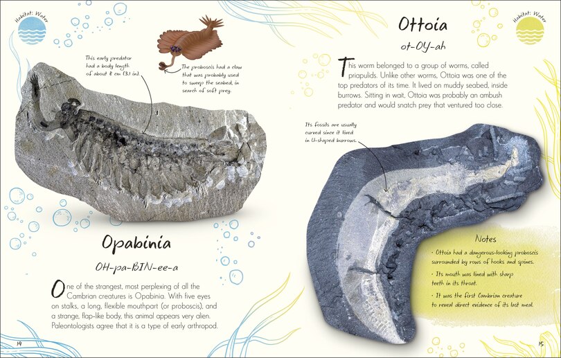 Aperçu du contenu 3_An Anthology of Fossils