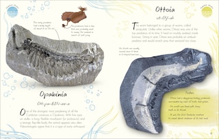Sample content 4_An Anthology of Fossils