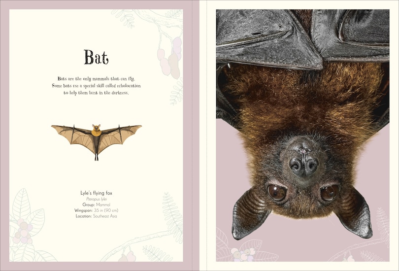 Sample content 2_An Anthology of Intriguing Animals Poster Book