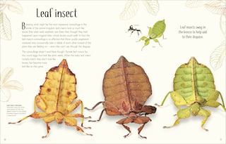 Sample content 2_An Anthology of Remarkable Bugs