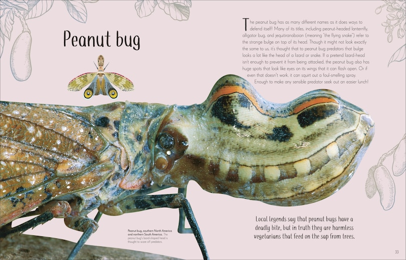 Sample content 3_An Anthology of Remarkable Bugs