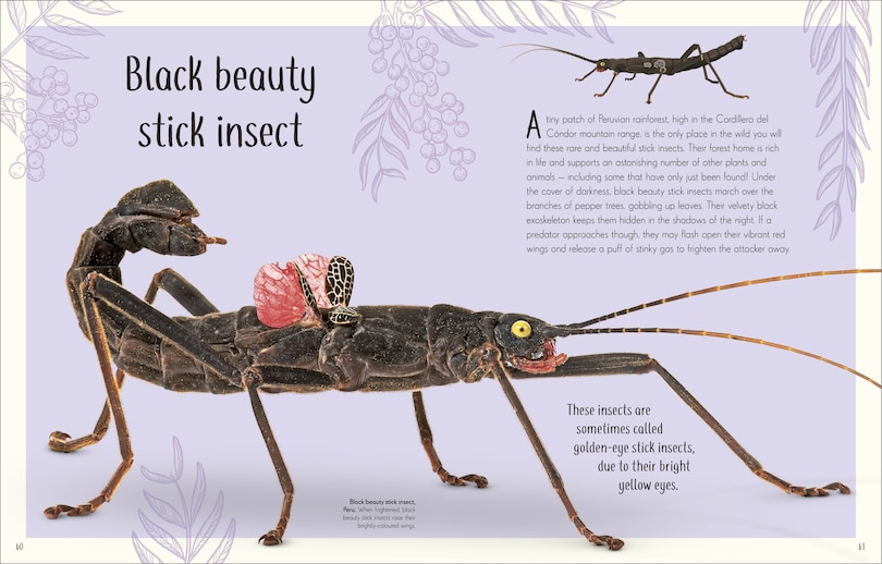 Sample content 5_An Anthology of Remarkable Bugs