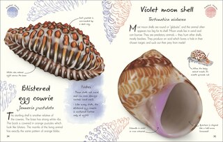 Sample content 3_An Anthology of Shells