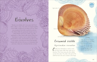 Sample content 4_An Anthology of Shells