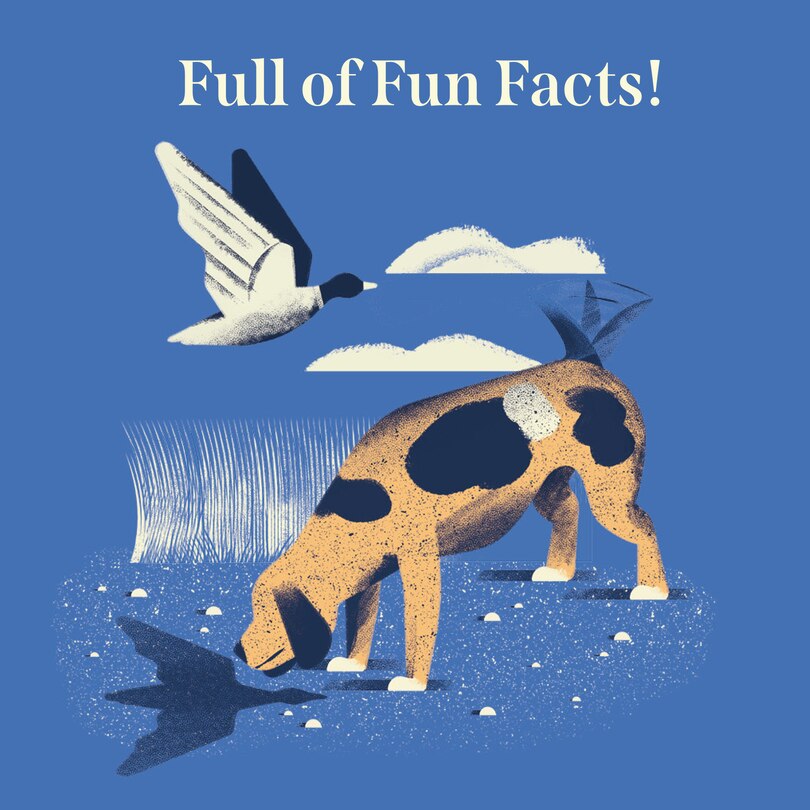 Aper&ccedil;u du contenu 5_An Apple a Day