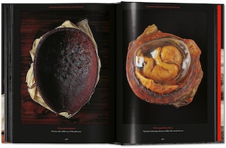 Aper&ccedil;u du contenu_Anatomical Waxes. 45th Ed.