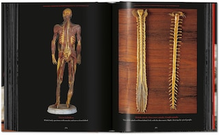 Aper&ccedil;u du contenu 2_Anatomical Waxes. 45th Ed.