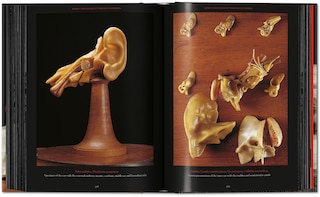 Aper&ccedil;u du contenu 4_Anatomical Waxes. 45th Ed.