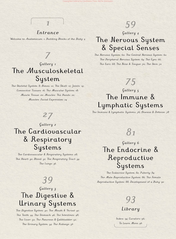 Sample content_Anatomicum