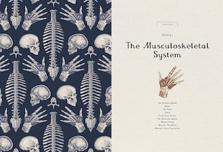 Sample content 3_Anatomicum