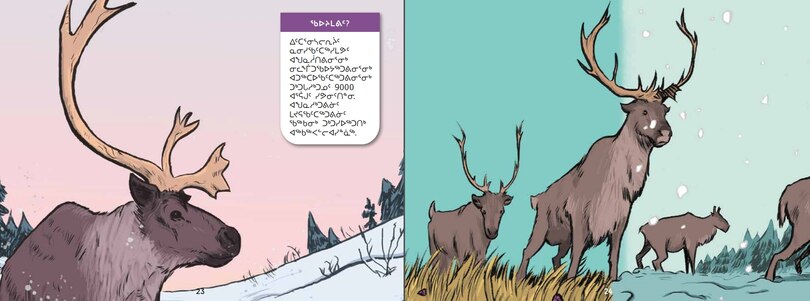 Aperçu du contenu 3_Ancient Arctic Mammals