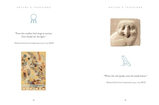 Aper&ccedil;u du contenu_Ancient Egyptian Wisdom