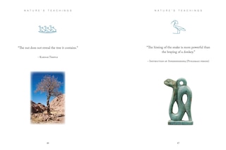 Aper&ccedil;u du contenu 2_Ancient Egyptian Wisdom