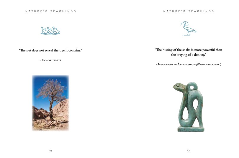 Aper&ccedil;u du contenu 2_Ancient Egyptian Wisdom