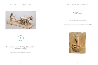 Aper&ccedil;u du contenu 3_Ancient Egyptian Wisdom