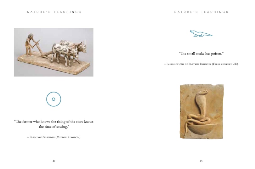 Aper&ccedil;u du contenu 3_Ancient Egyptian Wisdom