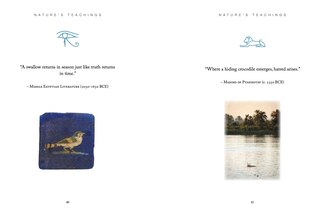 Aper&ccedil;u du contenu 4_Ancient Egyptian Wisdom