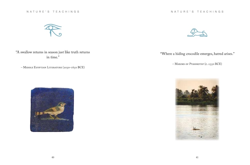 Aper&ccedil;u du contenu 4_Ancient Egyptian Wisdom