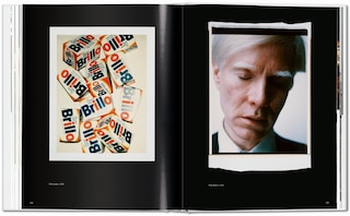 Aperçu du contenu_Andy Warhol. Polaroids 1958-1987