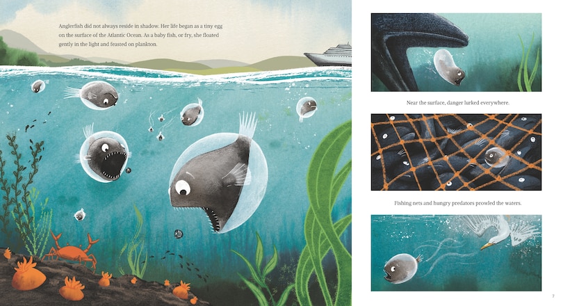 Aperçu du contenu_Anglerfish: The Seadevil of the Deep