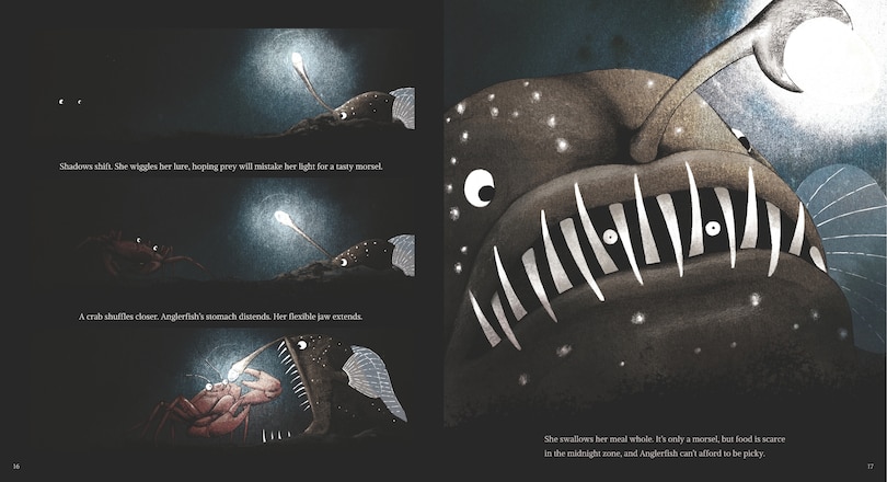 Aperçu du contenu 2_Anglerfish: The Seadevil of the Deep