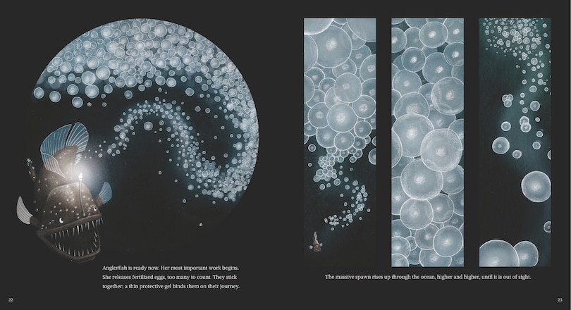 Aperçu du contenu 3_Anglerfish: The Seadevil of the Deep