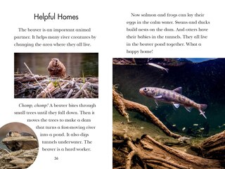 Sample content_Animal Allies