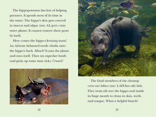 Sample content 2_Animal Allies