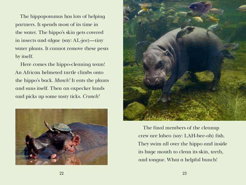 Sample content 2_Animal Allies