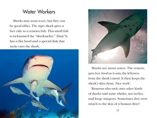 Sample content 4_Animal Allies