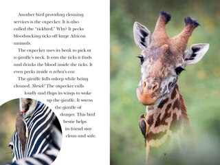 Sample content 5_Animal Allies