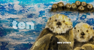 Aperçu du contenu 2_Animal Countdown