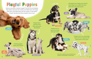 Aperçu du contenu_Animal Friends: Hello, Dogs!