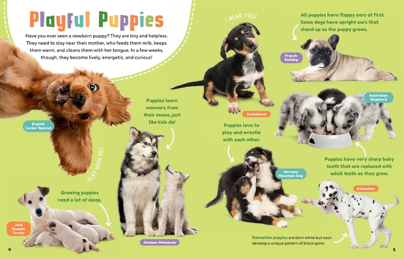 Aperçu du contenu_Animal Friends: Hello, Dogs!