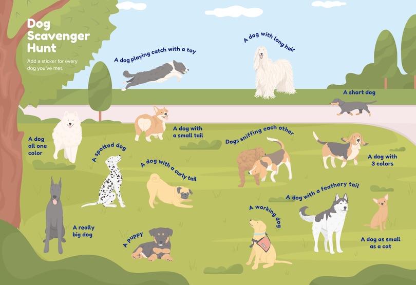 Aperçu du contenu 3_Animal Friends: Hello, Dogs!