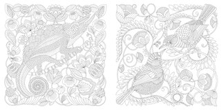 Sample content_Animal Kingdom