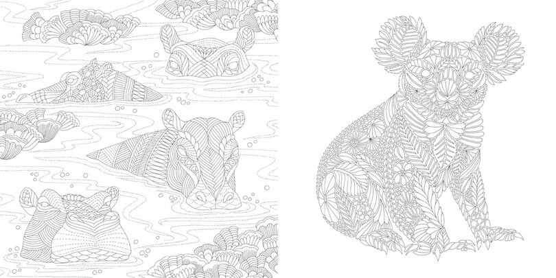Sample content 3_Animal Kingdom